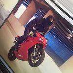 Profile Picture of Steve Nichol (@picklenichol) on Instagram