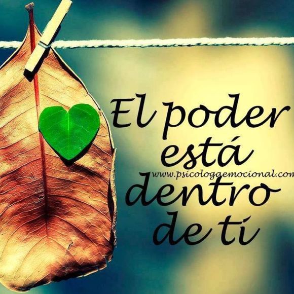 Profile Picture of Nancy Luviano (@83197936) on Poshmark