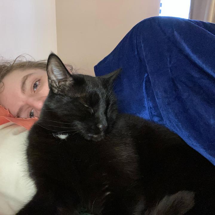 Nina OConnor - Tiktok Profile Picture of Nina OConnor (@sketchgonebad) on Tiktok