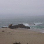 Profile Picture of DARRELL (@wallenbergaq) on Instagram