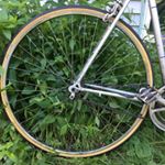 Profile Picture of Jim Bertram (@holstein50) on Instagram