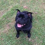 Profile Picture of Stephen Blake (@stephen.blake.58) on Instagram