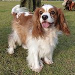 Profile Picture of Roy&Coco (@kimdooyeon76) on Instagram