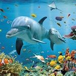 Profile Picture of allen robles (@robles.allen) on Instagram