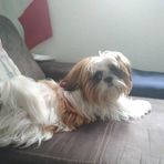 Profile Picture of Elecktra Polovsky (@Elecktra-Polovsky) on Facebook