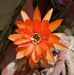 Profile Picture of Donna Pedersen (@donna.pedersen.9469) on Facebook