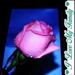 Profile Picture of Barbara Blankenship (@barbara.blankenship.338) on Instagram