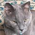 Profile Picture of Joseph Doleshal (@joseph.doleshal.96) on Facebook