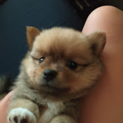 Profile Picture of Althea Ruby Cisneros (@AltheaRubyCisneros) on Youtube