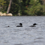 Profile Picture of M3phistoph3l3s (@m3phistoph3l3s) on Flickr