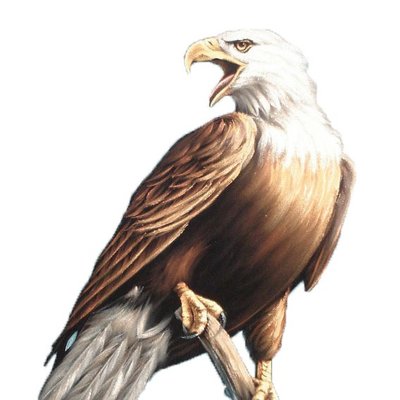 Profile Picture of Rene Weiler (@WeilerRene) on Twitter