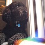 Profile Picture of Teddy Joe (@00_teddy_joe_00) on Instagram