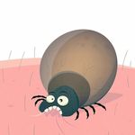 Profile Picture of Paul Sandig (@zecken_gott) on Instagram