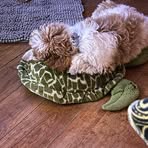 Profile Picture of Laurel AshnaultGroves (@laurel.ashnault) on Facebook