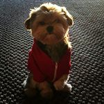 Profile Picture of cassandra (@cassandrabriceno1234567) on Instagram