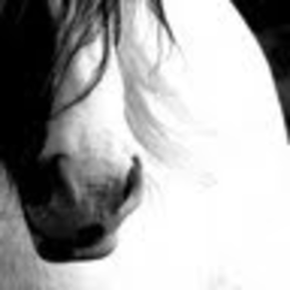 Profile Picture of Kaelea Duane (@levana215) on Poshmark