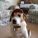 Profile Picture of David Hennen (@dhennen123) on Instagram