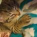 Profile Picture of Roberta Peterman (@roberta.peterman.16) on Facebook