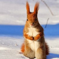 Profile Picture of Jodi Mackey (@jodi-mackey) on Quora