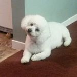Profile Picture of nancy hudson (@n.ann.hudson) on Instagram