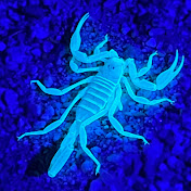 Profile Picture of Lisa Draper (@lisadraper9340) on Youtube