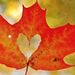 Profile Picture of Julia Curry (@jules1454) on Pinterest