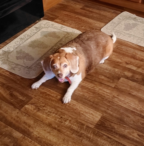 Profile Picture of Roxanne Maynard (@sissy63) on Poshmark