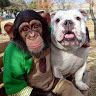 Profile Picture of chris batchelor (@batchelor0942) on Pinterest