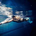 Profile Picture of brian cho (@pungse_cho) on Instagram
