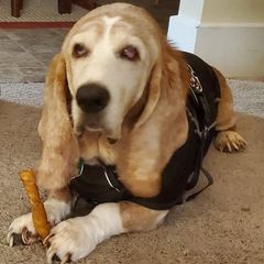 Profile Picture of scottbaatz485 (@scottbaatz485) on Tiktok