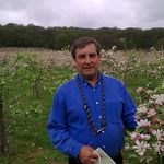 Profile Picture of Peter Draper (@peteralbertdraper) on Instagram