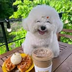 Profile Picture of Wen Yue Song (@wen.yue.song.2025) on Facebook