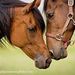 Profile Picture of Crystal Starcher (@crystal3825) on Pinterest