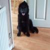 Profile Picture of Hazel Clarke (@@hazelclarke0) on Tiktok