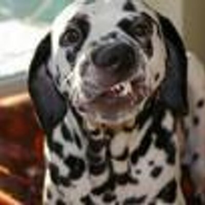 Profile Picture of Greg Gaudette (@gvg1317) on Twitter