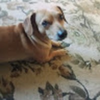 Profile Picture of Christina Scheader (@christina-scheader) on Quora