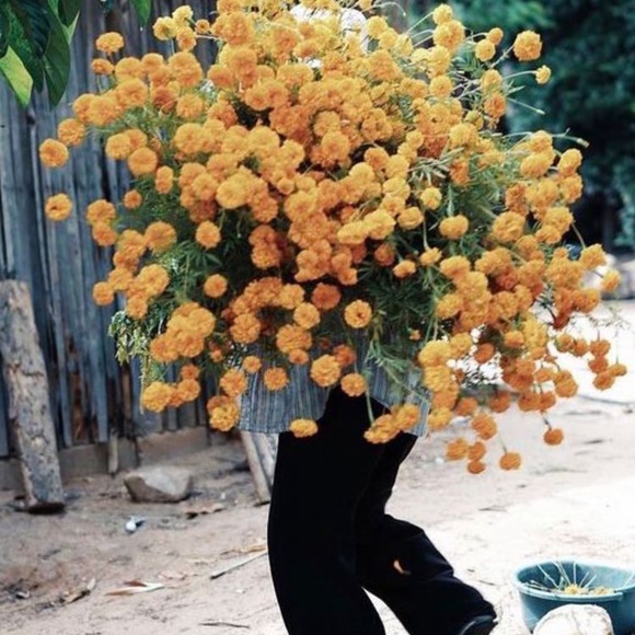 Profile Picture of Elsa Colizzi (@elsacoliizzi) on Poshmark