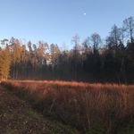 Profile Picture of Peter Giger (@giger_p) on Instagram