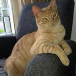 Profile Picture of Hobbybob Raymond (@hobbybobraymond) on Instagram