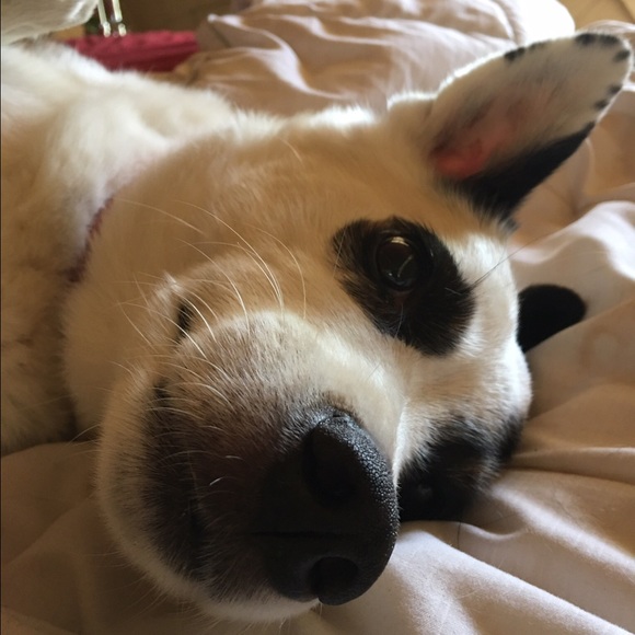 Profile Picture of Rhonda Stovey (@rstovey) on Poshmark