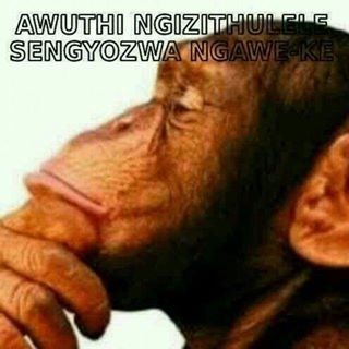 Profile Picture of S'phesihle Shibase Mapamela (@Sphesihle-Shibase-Mapamela) on Facebook