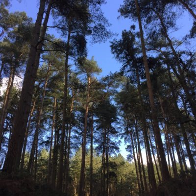 Profile Picture of Malcolm Joyce (@mallythebigboy) on Twitter