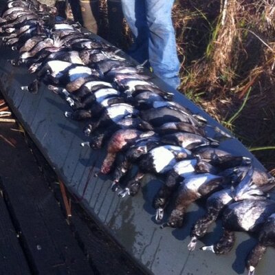 Profile Picture of Hunter Venable (@bassfishN4lif3) on Twitter