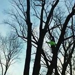 Profile Picture of Tyler Wickham (@wickhamtyler) on Instagram