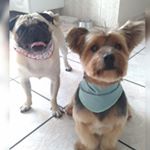 Profile Picture of Léo e Thierry (@leoethierry) on Instagram