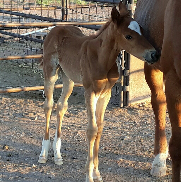 Profile Picture of Maxine Foster (@maxine_6511) on Poshmark