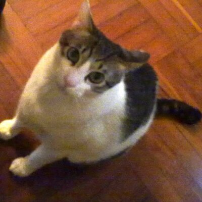 Profile Picture of Derek Fong (@derekfkw) on Twitter