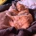 Profile Picture of Tracy Tittle (@tracy.tittle.520) on Facebook