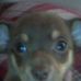 Profile Picture of Alvin Hamrick (@alvin.hamrick.7) on Facebook