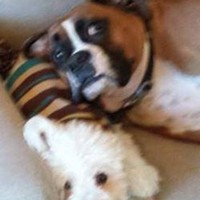 Profile Picture of Thomas Casey (@thomas-casey-5) on Quora